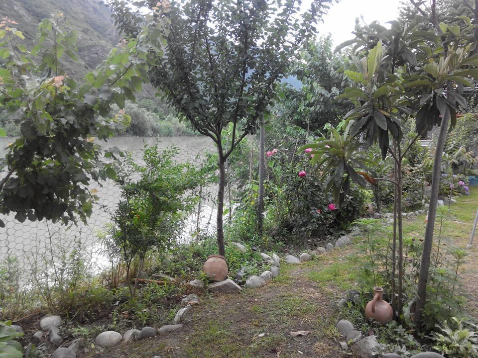 Villa Piano Mtskheta Ngoại thất bức ảnh